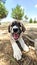 Puppy, Anatolian Shepherd Dog. Close-up portraitâ€¦