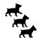 Puppy basenji different poses. Dog walking and standing silhouette icon