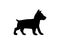 Puppy basenji. Vector black flat icon isolated on white