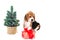 Puppy beagle near Christmas tree with pink box