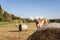 Puppy on big hay bale