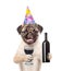 Puppy in birthday hat holding a bottle of red wine and wineglass. isolated on white background