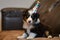 Puppy With Birthday Hat Sitting on Couch. Generative AI