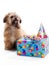 Puppy Birthday Party