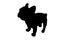 Puppy Black French bulldog logo .