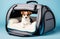 Puppy In Box Travel Pet Carrier Pet Bed With Soft Blanket Travel Dog Bags For Sale