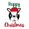 Puppy Christmas, cute Boston terrier face, wiht  Santa`s cap.
