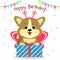 Puppy Corgi in a butterfly suit sits and holds a box with a gift on the background of confetti and flags. Happy Birthday.