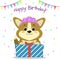 Puppy Corgi with a rim of roses sits and holds a box with a gift on the background of confetti and flags. Happy Birthday