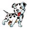 Puppy Dalmatian dog