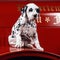 Puppy dalmation on a fire truck