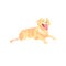 Puppy dog, cute puppy, clip art