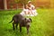 Puppy dog and defocused family with children in summer in the green garden