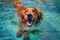 puppy dog funny underwater swimming vacation snorkeling water fun pool. Generative AI.