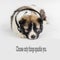 Puppy dog with headphones listening to music
