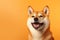 a puppy dog shiba inu smiling on orange isolated background generative ai