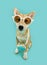 Puppy dog summer. Shiba inu pet dressed as a tourist going on vacation. Isolated on blue background