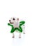 Puppy dog wearing a green tinsel star