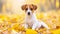 Puppy Enjoying Autumn Leaves. Generative ai