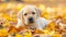 Puppy Enjoying Autumn Leaves. Generative ai