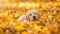 Puppy Enjoying Autumn Leaves. Generative ai