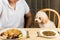 Puppy eyeing the plate of rice and meat on a teenager\'s plate and show no interest on her plate of kibbles