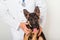 A puppy of a German shepherd on examination by a veterinarian in a clinic lies on a table.