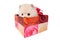 Puppy in gift box