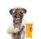 Puppy with a glass of beer, hugs kitten. isolated on white background