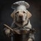 puppy golden retriever dressed with clothes. Dog in the kithen dressed as chef