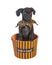 Puppy In Halloween Trick-or-Treating Basket