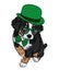 Puppy in a hat, glasses and a tie. Patrick`s day. Vector illustration for a postcard or a poster, print for clothes.