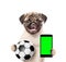 Puppy holding a smartphone and soccer ball. Isolated on white background