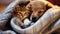 a puppy hugs a kitten. Pets sleep together. Generative AI