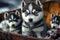 Puppy husky sled dog illustration generative ai