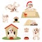 Puppy Installed Funny Cartoon Puppy in Different Poses. Puppy in the box, in the hat of Santa