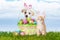 Puppy and Kitten With Easter Basket