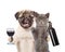 Puppy and kitten holding a bottle of red wine and wineglass. isolated on white background