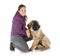 Puppy Leonberger and woman in studio