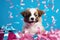 Puppy near the gift box. On the background bright confetti, ribbons. Concept for a postcard