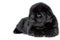 Puppy Newfoundland dog lying and looking sideways, on a white background. A place for a label