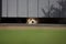 Puppy peering out under gate