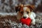 Puppy with plush sof red heart Lover Valentine puppy dog with a red heart