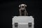 Puppy portrait iron case dark background