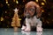 Puppy portrait miniature fir tree