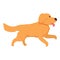 Puppy retriever icon cartoon vector. Golden dog