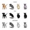 Puppy, rodent, rabbit and other animal species.Animals set collection icons in cartoon,black,monochrome style symbo