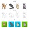 Puppy, rodent, rabbit and other animal species.Animals set collection icons in cartoon,outline,flat style vector symbol