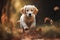 a puppy running through a leaf filled forest in the fall