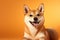 a puppy shiba inu smiling on orange isolated background generative ai